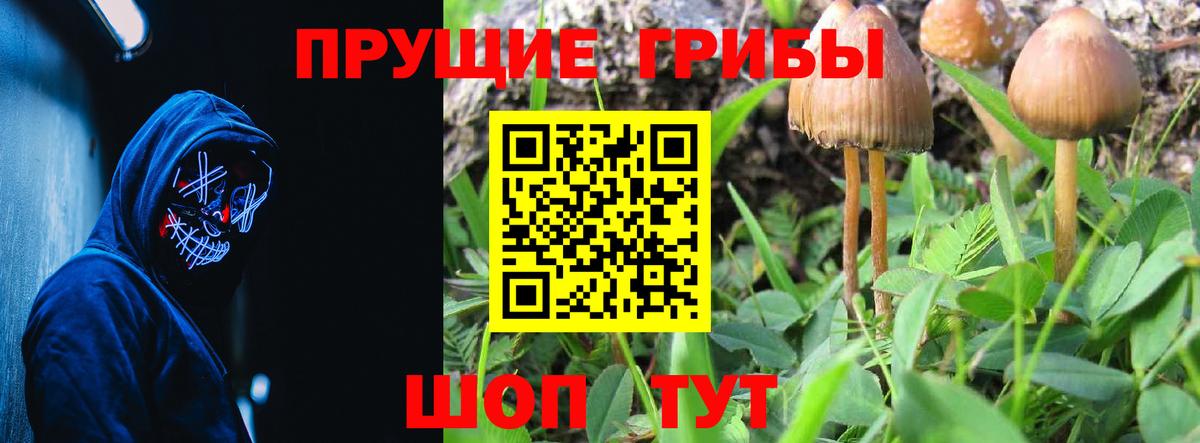Галлюциногенные грибы Psilocybe  Вход с VPN  Можга 